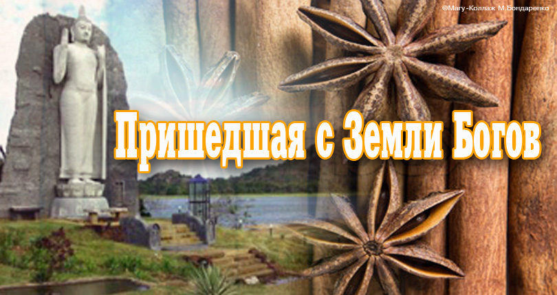 Корица - целебные свойства