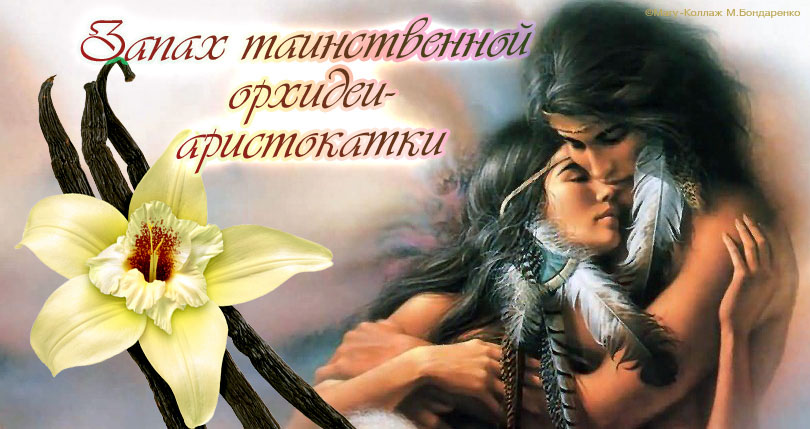 Ваниль. Коллаж Марины Бондаренко