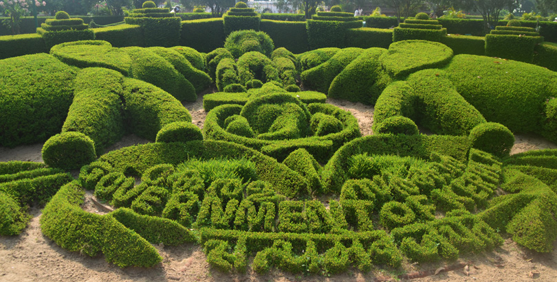 Клумба в парке Тривандрума