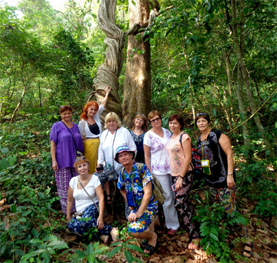 В джунглях Южной Индии