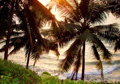 У подножия горы Хануман