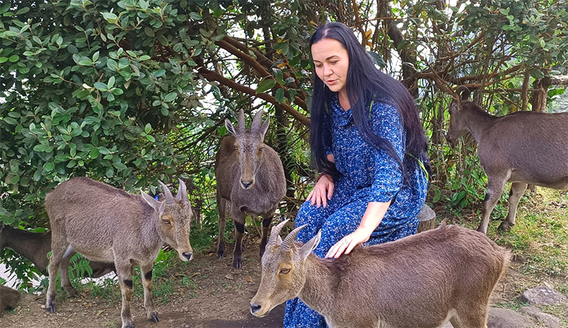 Муннар, тары